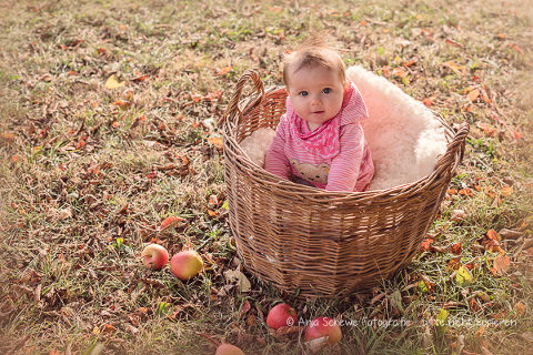 2015 Herbst - 13