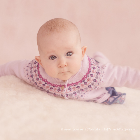 2015 Emilia - 02