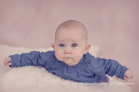 2015 Emilia - 03