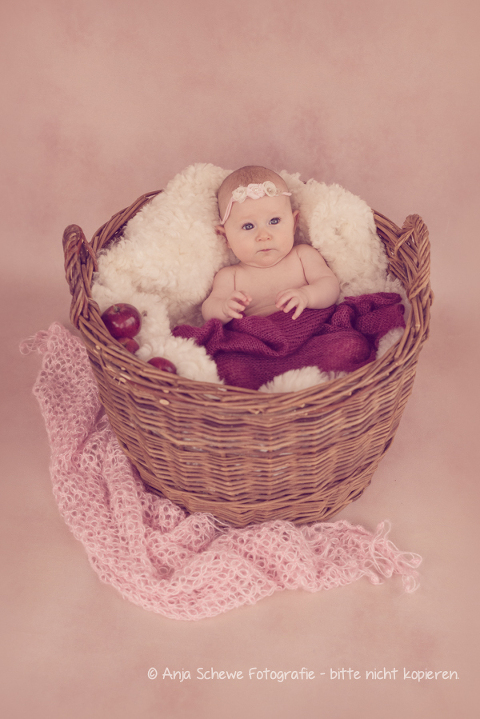 2015 Emilia - 06